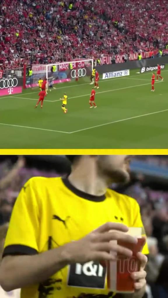 勇者無(wú)懼！這是真多特球迷！在拜仁球迷區(qū)一個(gè)人肆意慶祝！